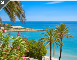 Sun & City Holiday Transfers
