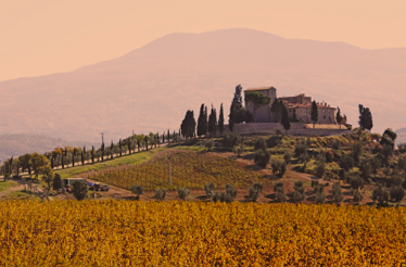 A typical Tuscan View